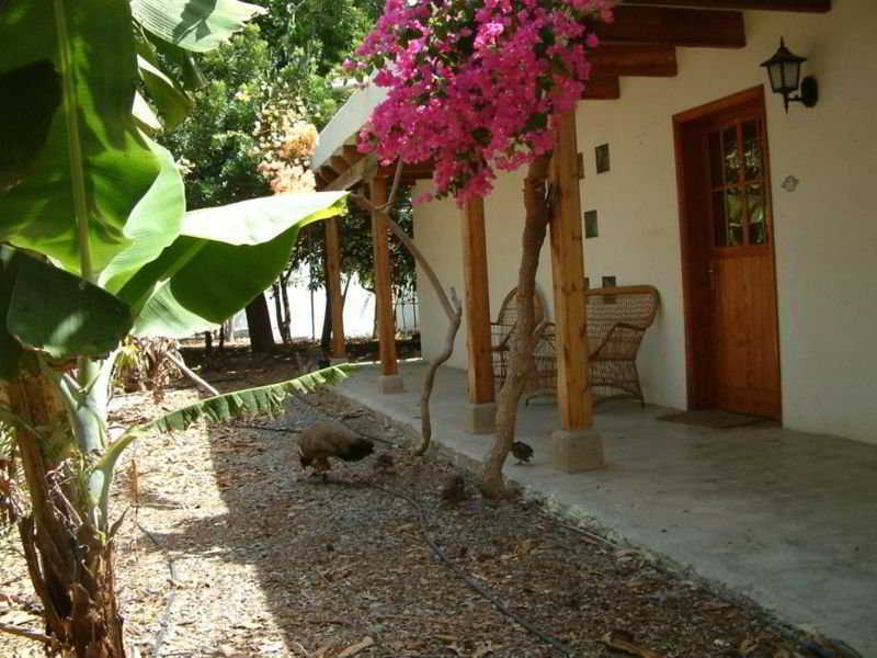 Cho Manuel Residence Maspalomas  Exterior photo
